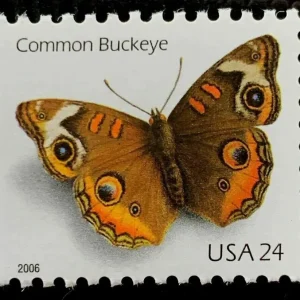 NOT Forever Stamp-First Class Stamps 2006 Common Buckeye Butterfly – Nature Series, 24¢ Postage