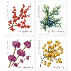 Forever Stamps 2019 Winter Berries – Seasonal Holiday Collection, First-Class Postage