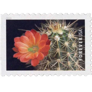 Forever Stamps 2019 Cactus Flowers – Nature Series, First-Class Postage