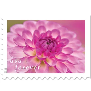 Forever Stamps 2025 Dahlias – Floral Collection, First-Class Postage